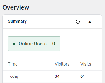 wp statistics 방문자